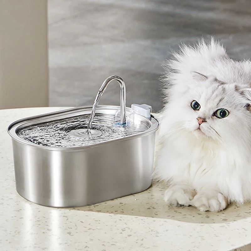 Une fontaine à eau chat en acier inoxydable large avec un robinet et un chaton blanc assis à côté de cette fontaine.