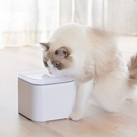 Une fontaine à eau chat en forme carré blanche et avec un chat blanc en train de boire de cette fontaine.