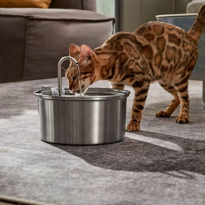 Une fontaine a eau chat avec un robinet automatique en acier inoxydable de forme ronde Un chat de Bengale en train de boire.