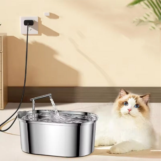 Une fontaine à eau chat en acier inoxydable large avec un robinet et un sacré de birmanie assis à côté de cette fontaine.