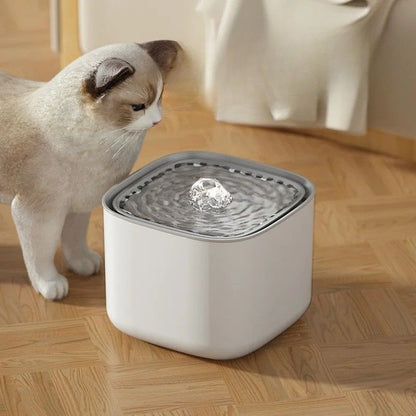 Une fontaine à eau chat en forme carré blanche et avec un chat blanc en train de s'approcher de cette fontaine.
