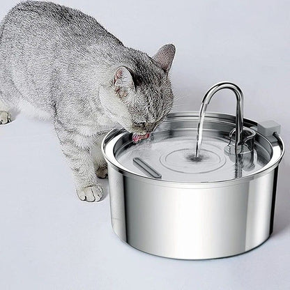  Une fontaine a eau chat avec un robinet automatique en acier inoxydable de forme ronde avec un chat gris en train de boire. 