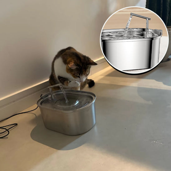Une fontaine à eau chat en acier inoxydable large avec un robinet et un chat gris et marron assis à côté de cette fontaine.