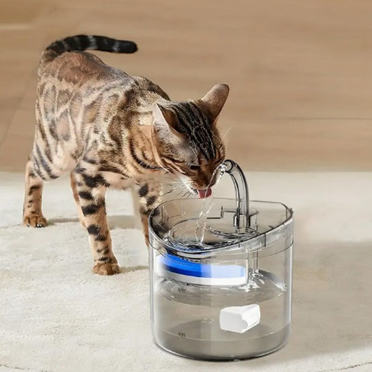 Une fontaine a eau chat automatique transparente avec un petit robinet et un filtre en éponge bleu et blanc avec un chat de bengal en train de boire de cette fontaine.