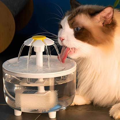 Une fontaine à eau pour chat ronde avec une tête en forme de fleur de marguerite qui fait sortir l'eau de plusieurs directions avec un chat blanc avec un peu de marron sur le visage qui boit de cette fontaine.