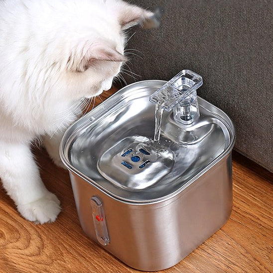 Une fontaine a eau pour chat en acier inoxydable rectangulaire avec un chat blanc s'approche pour boire de cette fontaine.