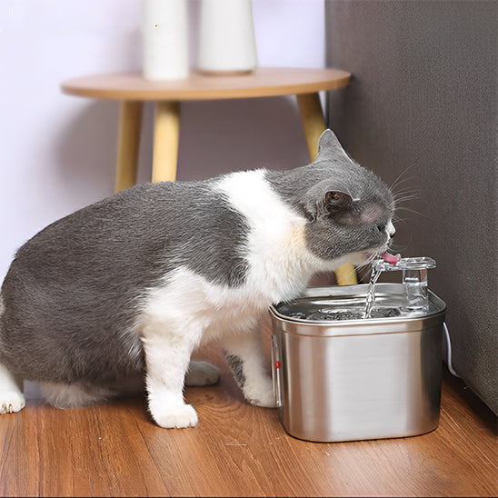 Une fontaine a eau pour chat en acier inoxydable rectangulaire avec un chat british shorthair qui boit de cette fontaine avec sa langue.