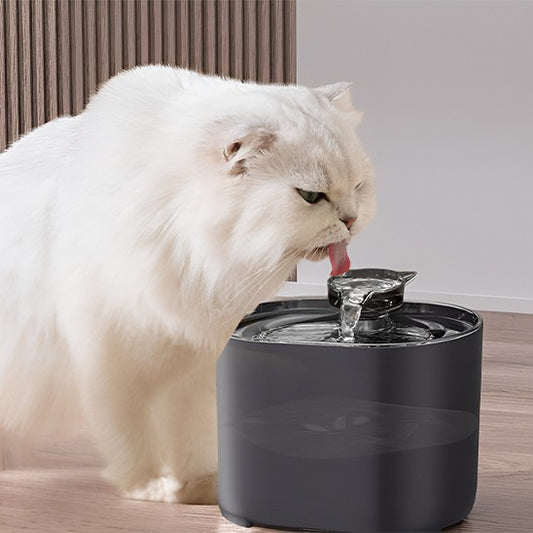 Une fontaine a eau pour chat noire avec un robinet en forme de tête de chat incliné vers le bas et un chat blanc qui boit de cette fontaine.