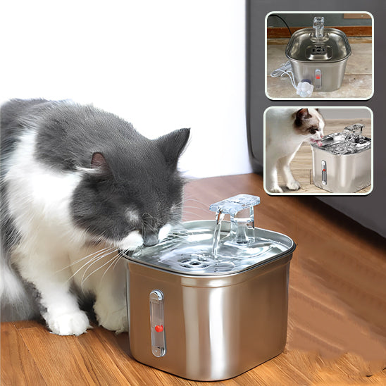 Une fontaine a eau pour chat en acier inoxydable rectangulaire avec un chat british shorthair qui boit de cette fontaine.