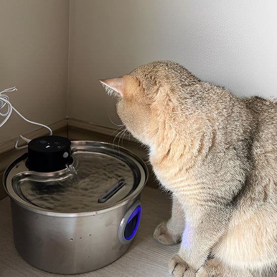 Fontaine a eau pour chat ronde en acier inoxydable avec un cercle frontale qui montre le niveau de l'eau en lumière bleu avec un chat beige assis devant cette fontaine.