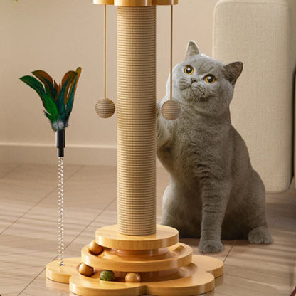 Grattoir chat en forme de petit arbre à chat, avec short hair qui fait ses griffes sur ce grattoir.