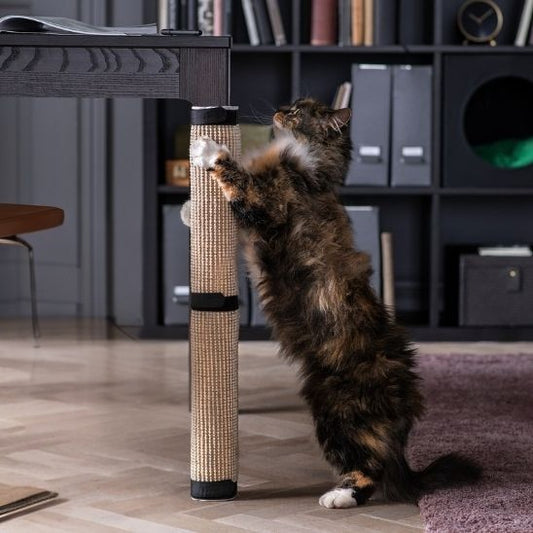 Un Maine Coon qui est debout en train de faire ses griffes sur un grattoir chat en sisal en forme de tapis enroulé sur un pied de table et attaché avec des scratchs noirs et en attachement deux images montrant le matériau et le scratch.