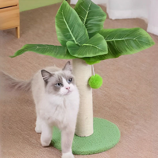 Un khaou manée qui est à côté d'un griffoir à chat en forme de palmier avec un poteau en sisal et des feuilles vertes en plastique avec des balles vertes suspendues en peluche avec une base ronde verte en moquette