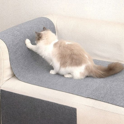 Un chat beige fait ses griffes sur un griffoir à chat gris posé sur un canapé.