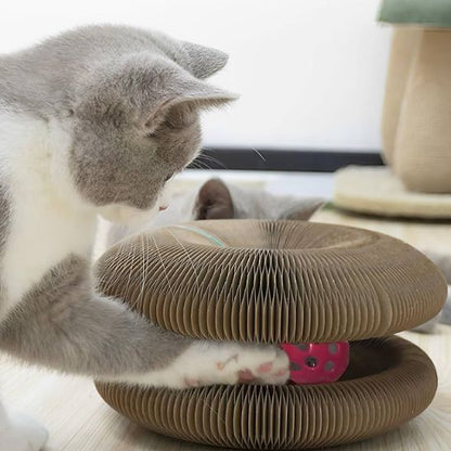 Un griffoir chat carton marron rond avec un espace entre le haut et le bas et une balle qui roule dans cet espace avec deux chats gris avec des taches blanches qui jouent avec.