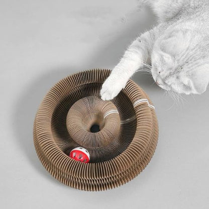 Un griffoir chat carton marron rond avec un espace entre le haut et le bas et une balle qui roule dans cet espace avec un chat gris clair qui joue avec.