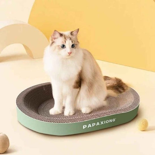 griffoir chat ovale vert avec un chat blanc assis dessus.