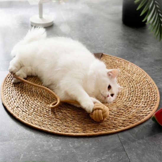 Un catissimo allongé sur un griffoire chat en forme de tapis rond marron en jouant avec la balle insérée à ce griffoire par une corde 