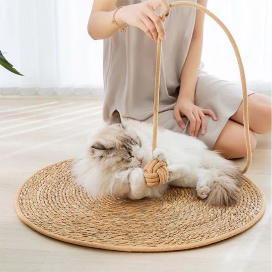 Un catissimo qui joue avec une balle insérée dans un griffoire chat en forme de tapis rond avec une femme portant une robe beige courte qui tient la corde qui relie la balle au griffoire