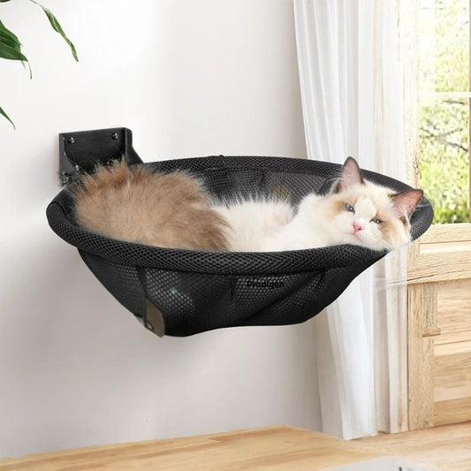 Un hamac chat noir en forme de panier de basket-ball attaché à un mur avec un chat blanc allongé dedans.