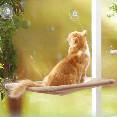 Un chat roux qui s'assoie sur un hamac pour chat et qui regarde depuis une fenêtre sur laquelle le hamac est attaché.