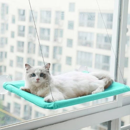 Un chat blanc allongé sur un hamac pour chat bleu cyan fixé sur une fenêtre en hauteur.