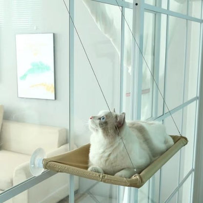 Un chat blanc allongé sur un hamac pour chat beige fixé sur une fenêtre a l'intérieur d'une maison.