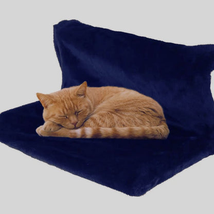 Un chat roux qui dort sur un hamac pour chat noir.