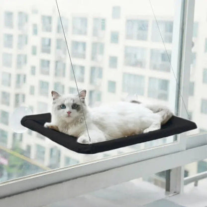 Un chat blanc allongé sur un hamac pour chat noir fixé sur une fenêtre en hauteur.