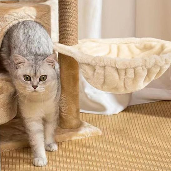 Hamac pour chat beige attaché à un arbre à chat avec un chat gris à côté de ce hamac.