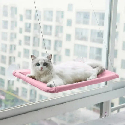 Un chat blanc allongé sur un hamac pour chat rose fixé sur une fenêtre en hauteur.