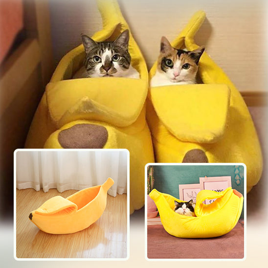 Lit pour Chat-Banane