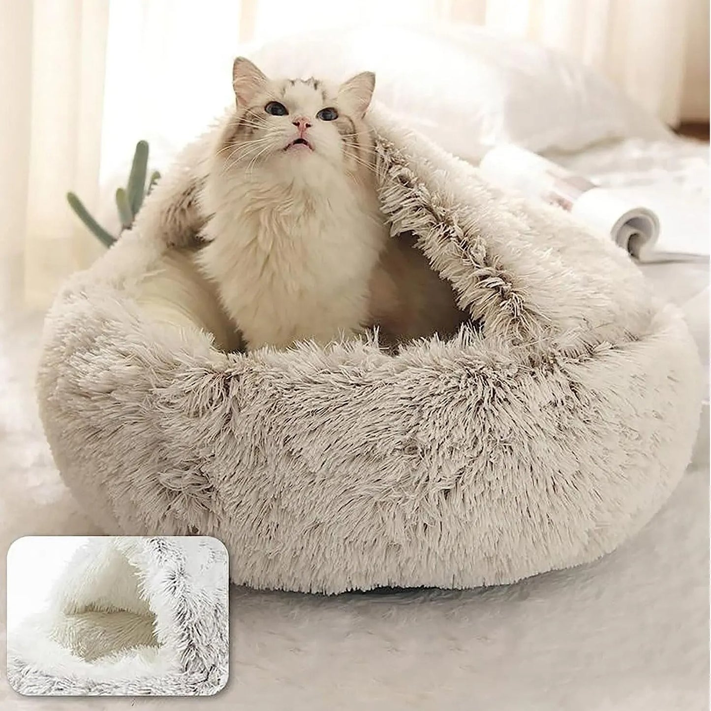 Lit pour Chat-Peluche