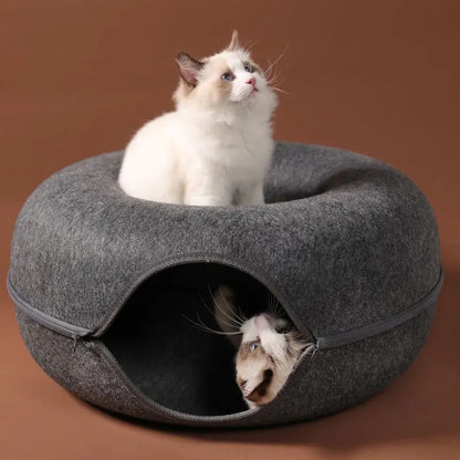 Lit pour chat en forme de donut gris foncé avec deux chatons blancs, un dedans, et l'autre assis dessus.