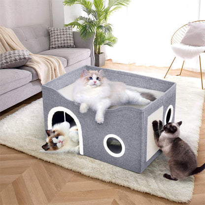 niche à chat cube gris avec griffoir sur le coté et trois chats blancs et marrons qui jouent autour.