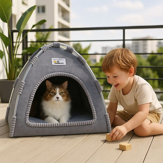 Niche à chat en forme de tente solide bleue placée sur le sol d'une terrasse de maison avec un chat assis dedans et un petit garçon assis à côté et en train de jouer avec le chat.