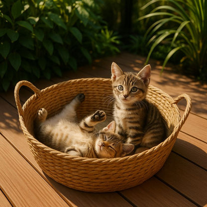 Panier en osier pour chat rond avec deux chatons dedans, un endormi et l'autre assis.