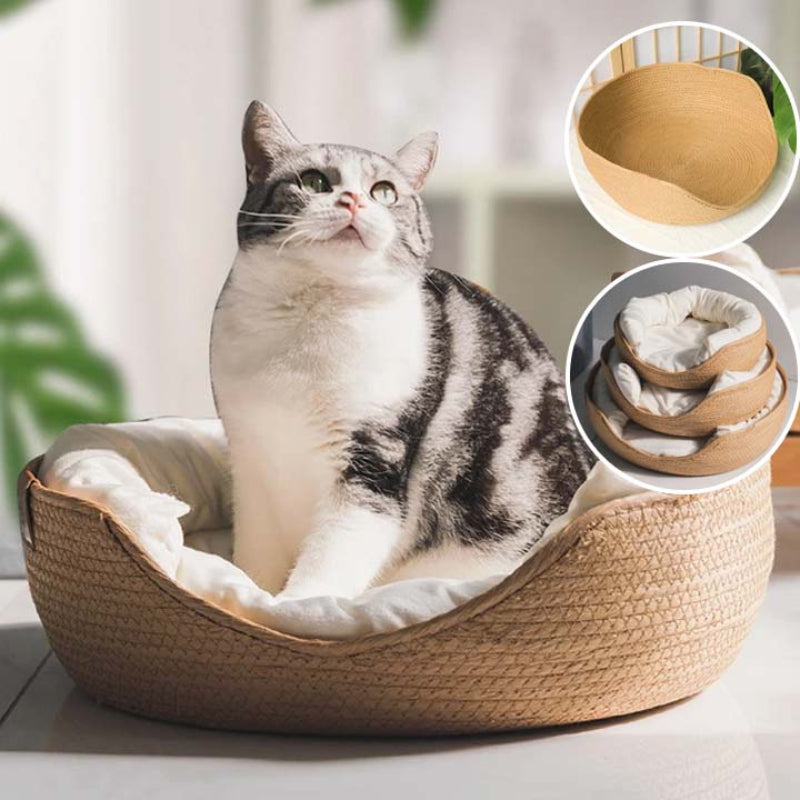 Panier osier chat beige avec un coussin blanc à l'intérieur avec un chat gris et blanc assis dedans.