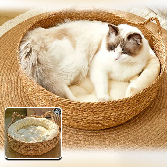 Panier osier chat beige avec un coussin blanc à l'intérieur et deux formes d'oreilles de chat et un chat blanc qui se repose dedans.