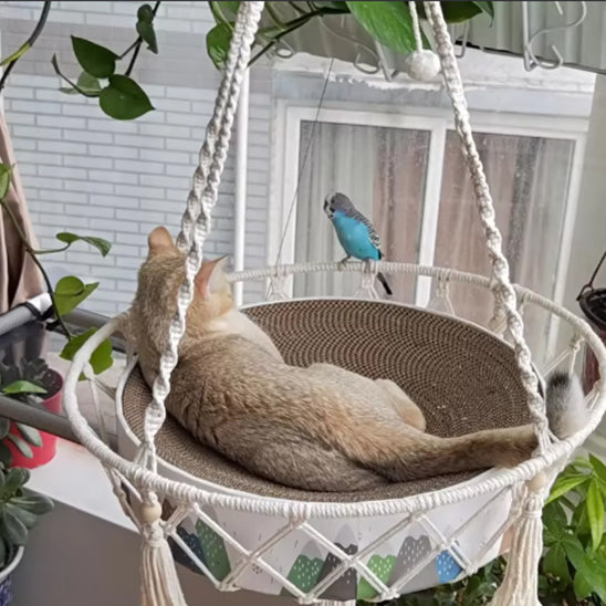 Panier pour chat en forme de hamac blanc suspendu avec un chat gris allongé dedans et un petit oiseau bleu sur le bord de ce panier.