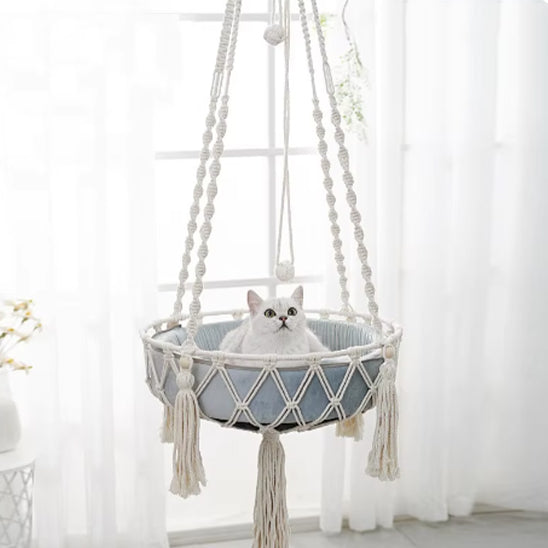 Panier pour chat en forme de hamac suspendu avec un panier bleu et un chaton blanc dedans.